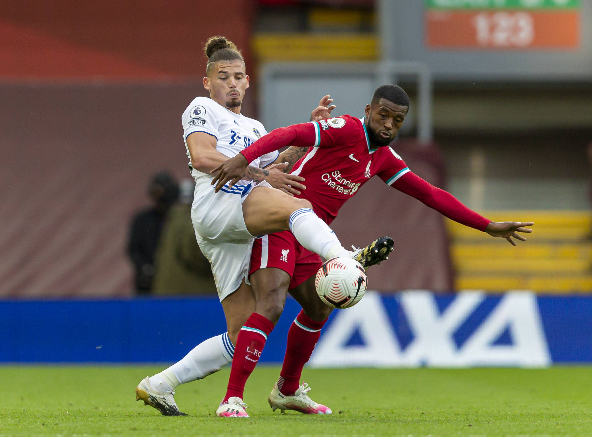 新西兰副总 新西兰副总